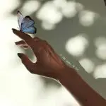 دانلود آهنگ بی تو رو شونه هام کوه درده همه میگن اون دیوونه برنمیگرده از مهدی جهانی دانلود آهنگ بی تو رو شونه هام کوه درده همه میگن اون دیوونه برنمیگرده از مهدی جهانی